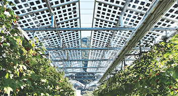 Blog công ty mới nhất về Ý ban hành các quy định mới về lựa chọn địa điểm dự án năng lượng mặt trời và ưu đãi thuế đối với năng lượng mặt trời